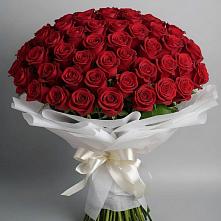 Букет 101 Красная роза Блэк Мэджик в Дубовке Ставропольского края