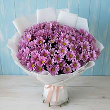 Букет цветов из:  Хризантемы в Дубовке Ставропольского края