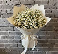 Букет цветов из:  Ромашки в Дубовке Ставропольского края