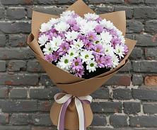 Букет цветов из:  Хризантемы #REPLACE_PRED# Дубовке Ставропольского края