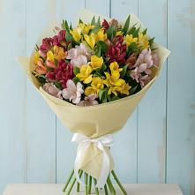 Букет цветов из:  Альстромерии в Дубовке Ставропольского края