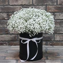Цветочная композиция из Гипсофила в шляпной коробке в Дубовке Ставропольского края