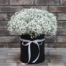 Цветочная композиция из Гипсофила в шляпной коробке в Дубовке Ставропольского края